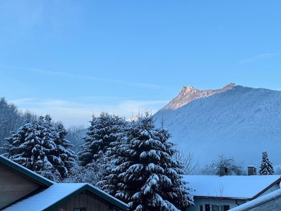 Fewo Bergblick อัสเชา อิม คีมเกา ภายนอก รูปภาพ